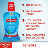 Colgate ® Plax Mouthwash Peppermint Zero Alcohol Antigerm 250 ml